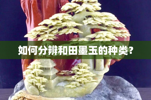 如何分辨和田墨玉的種類？