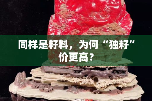 同樣是籽料，為何“獨籽”價更高？