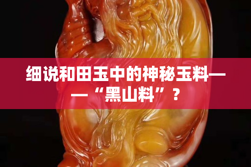 細說和田玉中的神秘玉料——“黑山料”？