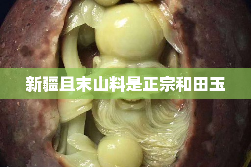 新疆且末山料是正宗和田玉