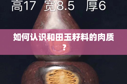 如何認識和田玉籽料的肉質？