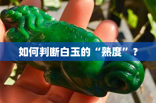 如何判斷白玉的“熟度”？