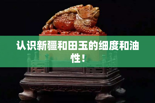 認(rèn)識新疆和田玉的細(xì)度和油性！