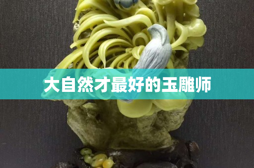 大自然才最好的玉雕師
