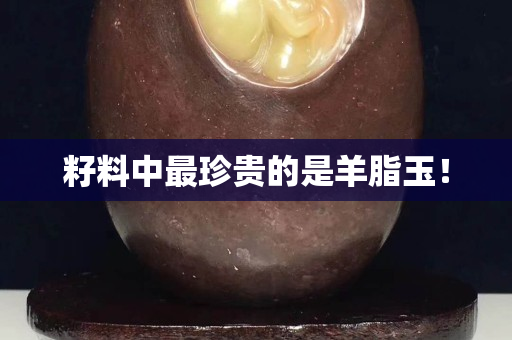 籽料中最珍貴的是羊脂玉！