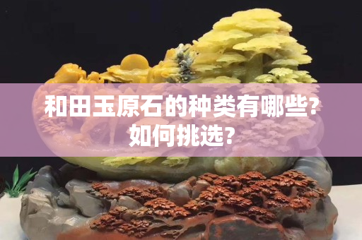 和田玉原石的種類有哪些?如何挑選?