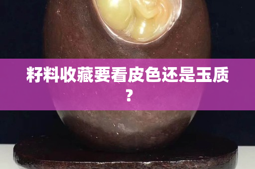 籽料收藏要看皮色還是玉質？
