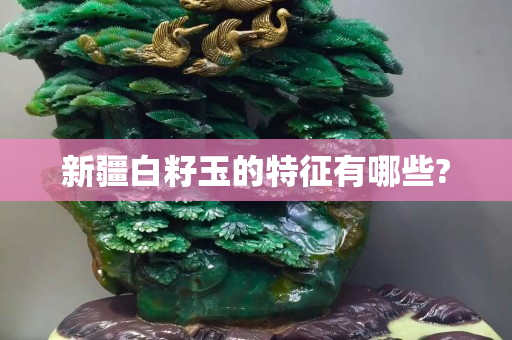 新疆白籽玉的特征有哪些?