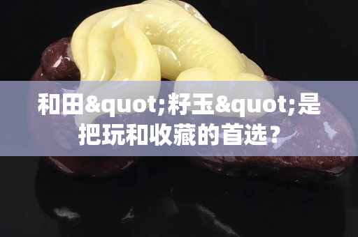 和田"籽玉"是把玩和收藏的首選？