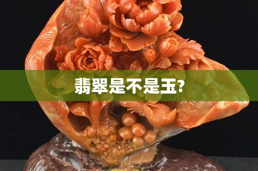 翡翠是不是玉?