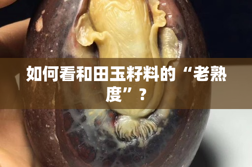 如何看和田玉籽料的“老熟度”?