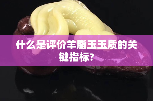 什么是評價羊脂玉玉質(zhì)的關(guān)鍵指標(biāo)?