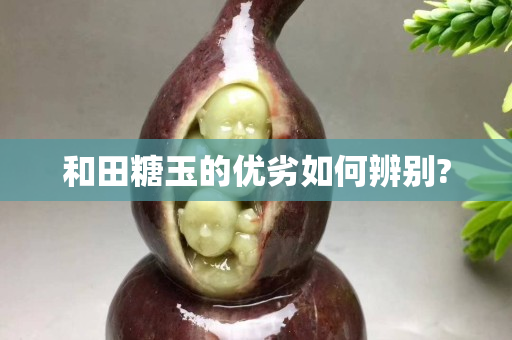 和田糖玉的優劣如何辨別?