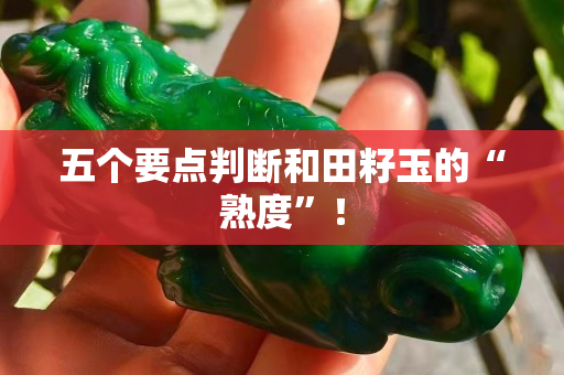 五個(gè)要點(diǎn)判斷和田籽玉的“熟度”！