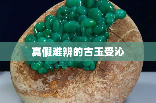 真假難辨的古玉受沁