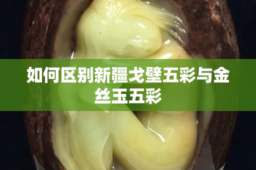 如何區(qū)別新疆戈壁五彩與金絲玉五彩