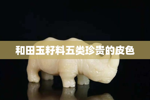 和田玉籽料五類珍貴的皮色