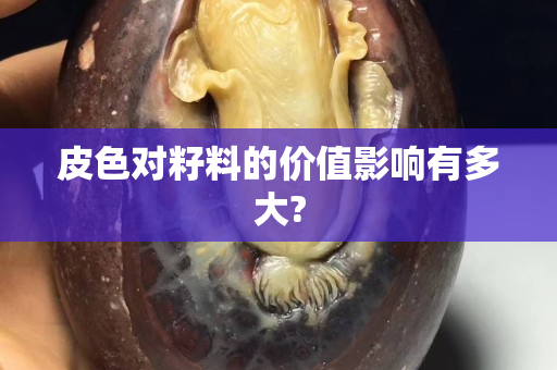 皮色對籽料的價值影響有多大?