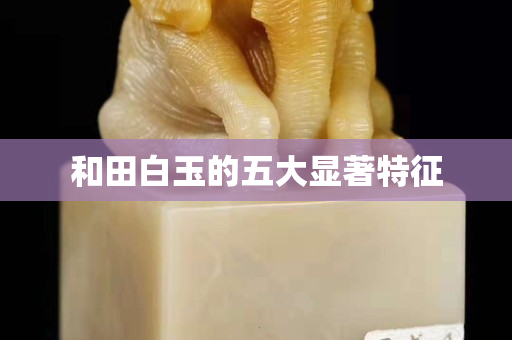 和田白玉的五大顯著特征