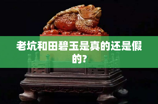 老坑和田碧玉是真的還是假的?