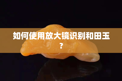 如何使用放大鏡識別和田玉?