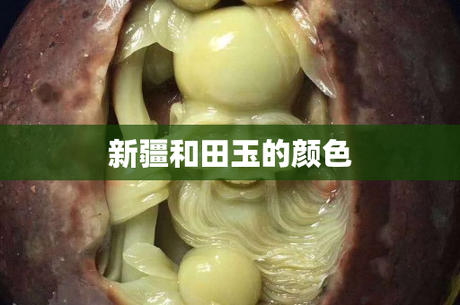 新疆和田玉的顏色