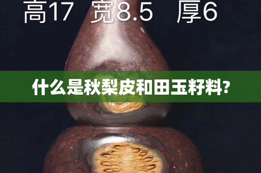 什么是秋梨皮和田玉籽料?