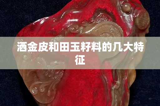 灑金皮和田玉籽料的幾大特征