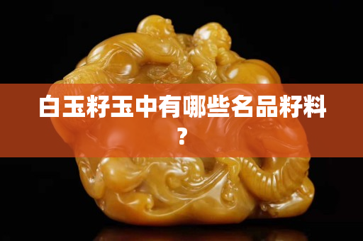 白玉籽玉中有哪些名品籽料?