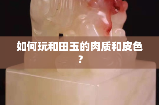 如何玩和田玉的肉質和皮色？