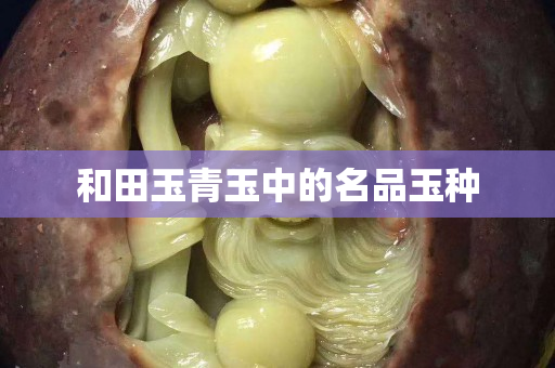 和田玉青玉中的名品玉種