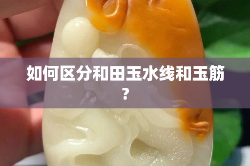 如何區分和田玉水線和玉筋?