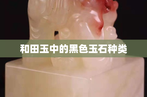 和田玉中的黑色玉石種類