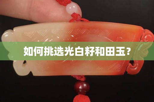 如何挑選光白籽和田玉？