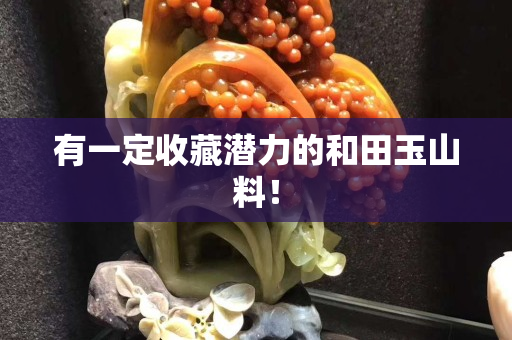 有一定收藏潛力的和田玉山料！