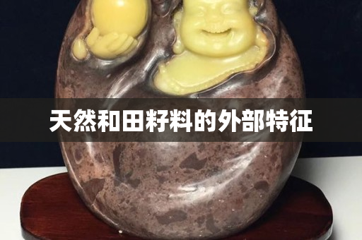天然和田籽料的外部特征