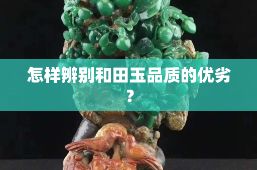 怎樣辨別和田玉品質(zhì)的優(yōu)劣？