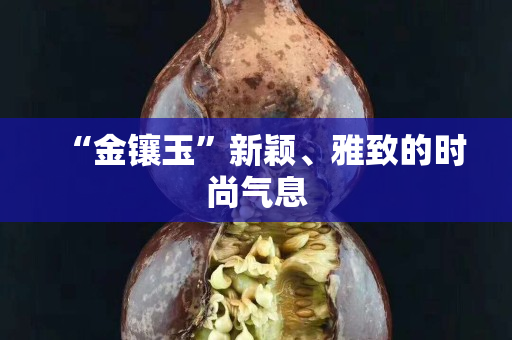 “金鑲玉”新穎、雅致的時尚氣息