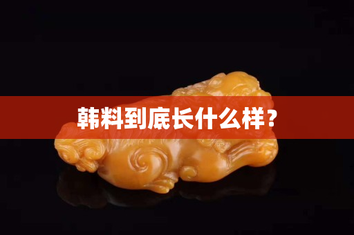韓料到底長什么樣？