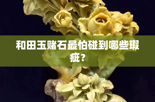 和田玉賭石最怕碰到哪些瑕疵？