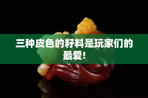三種皮色的籽料是玩家們的最愛!