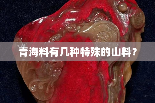 青海料有幾種特殊的山料？