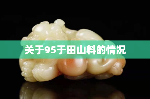 關于95于田山料的情況