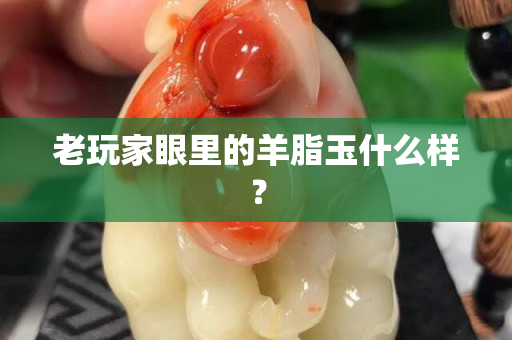 老玩家眼里的羊脂玉什么樣？