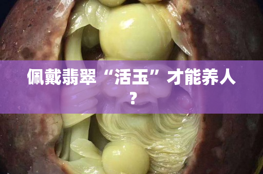佩戴翡翠“活玉”才能養人？