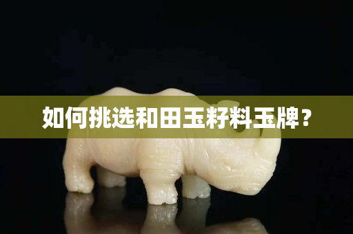 如何挑選和田玉籽料玉牌？