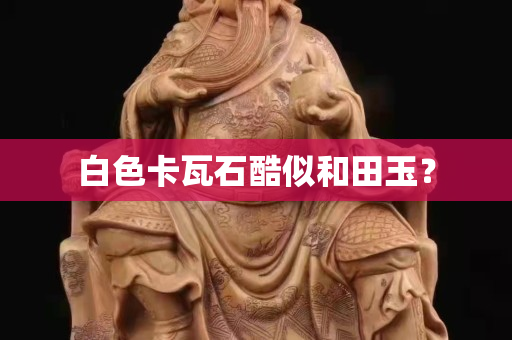 白色卡瓦石酷似和田玉？