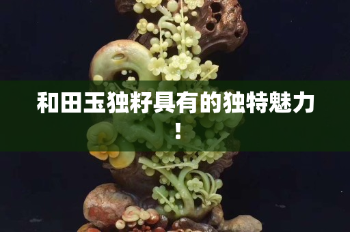 和田玉獨籽具有的獨特魅力！