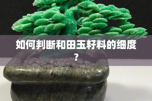 如何判斷和田玉籽料的細度?