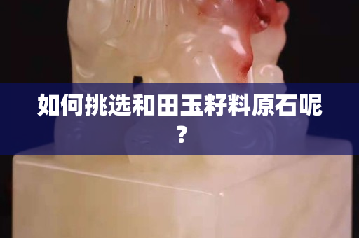 如何挑選和田玉籽料原石呢？